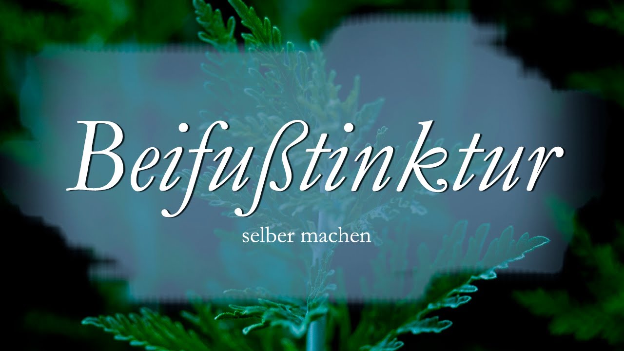 Beifußtinktur selber machen / DIY / Naturapotheke / natürlich heilen / die Natur hilft