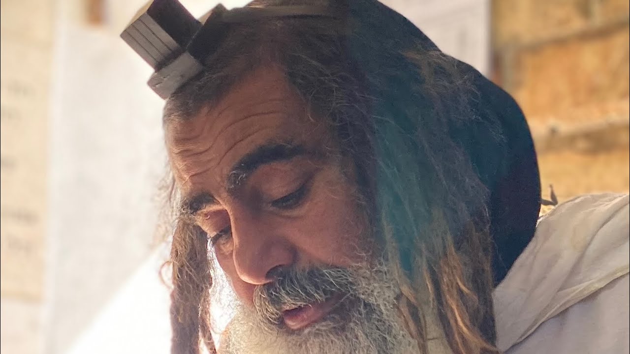 הרב
