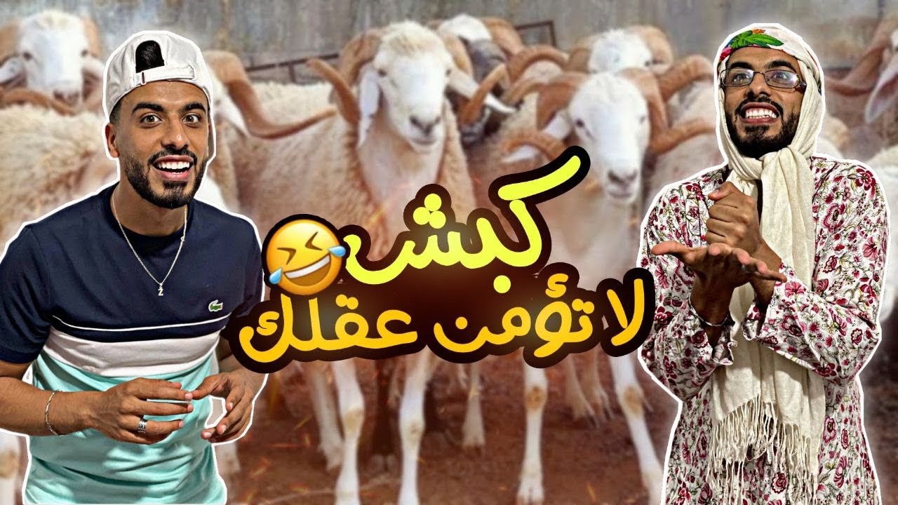 زعطة و زفطة جابوا كبش العيد😂🐏