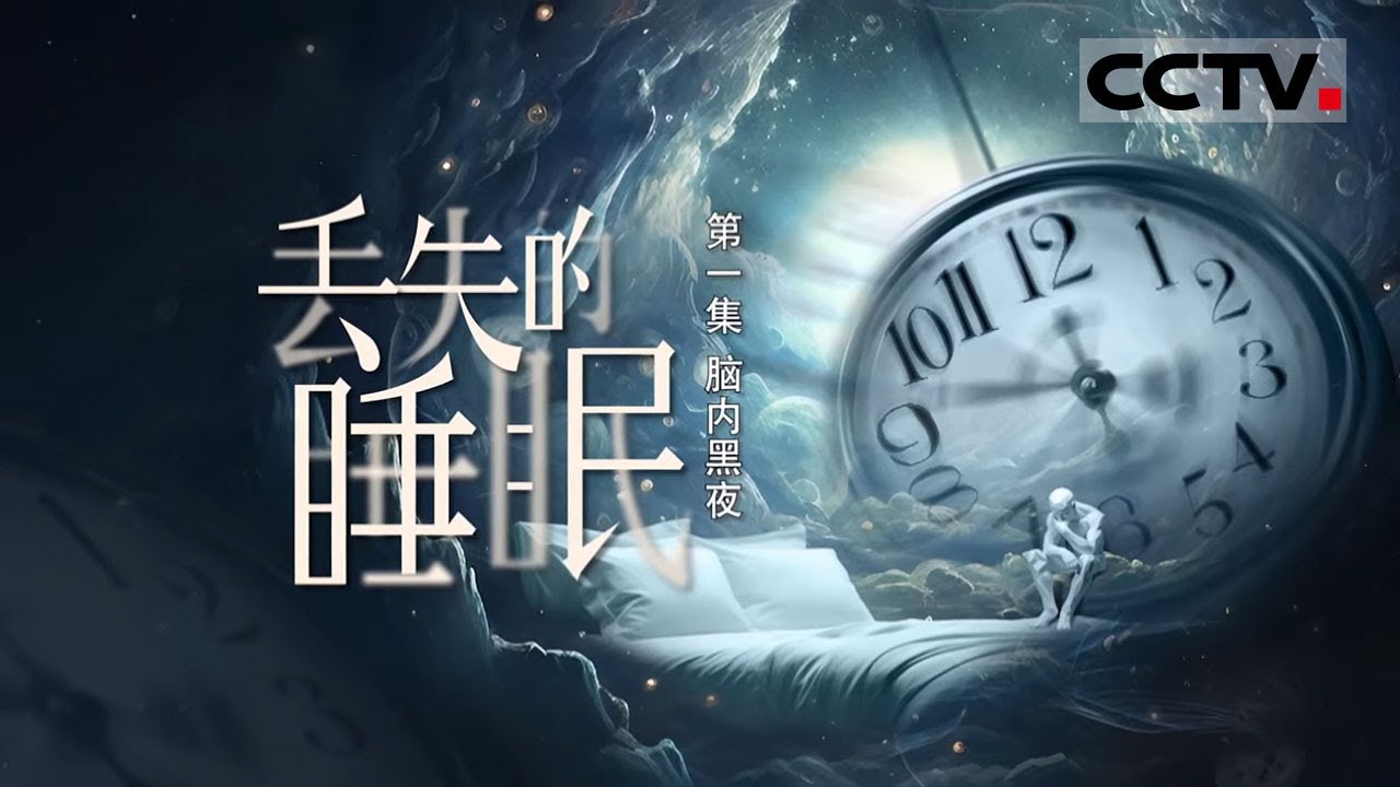 《丢失的睡眠》01 脑内黑夜：每个人都需要睡觉 但有人知道我们是怎么睡觉的吗？【CCTV纪录】