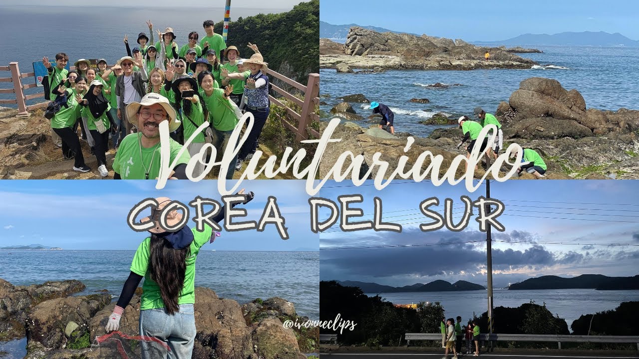 Mi experiencia como voluntaria en Corea del Sur 🇰🇷🫰