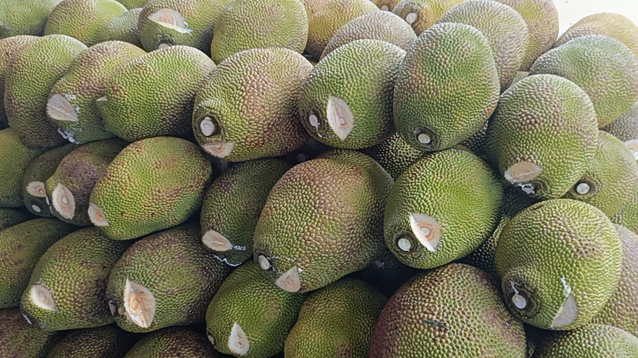 Giá lên cắt nữa cả nhà oi