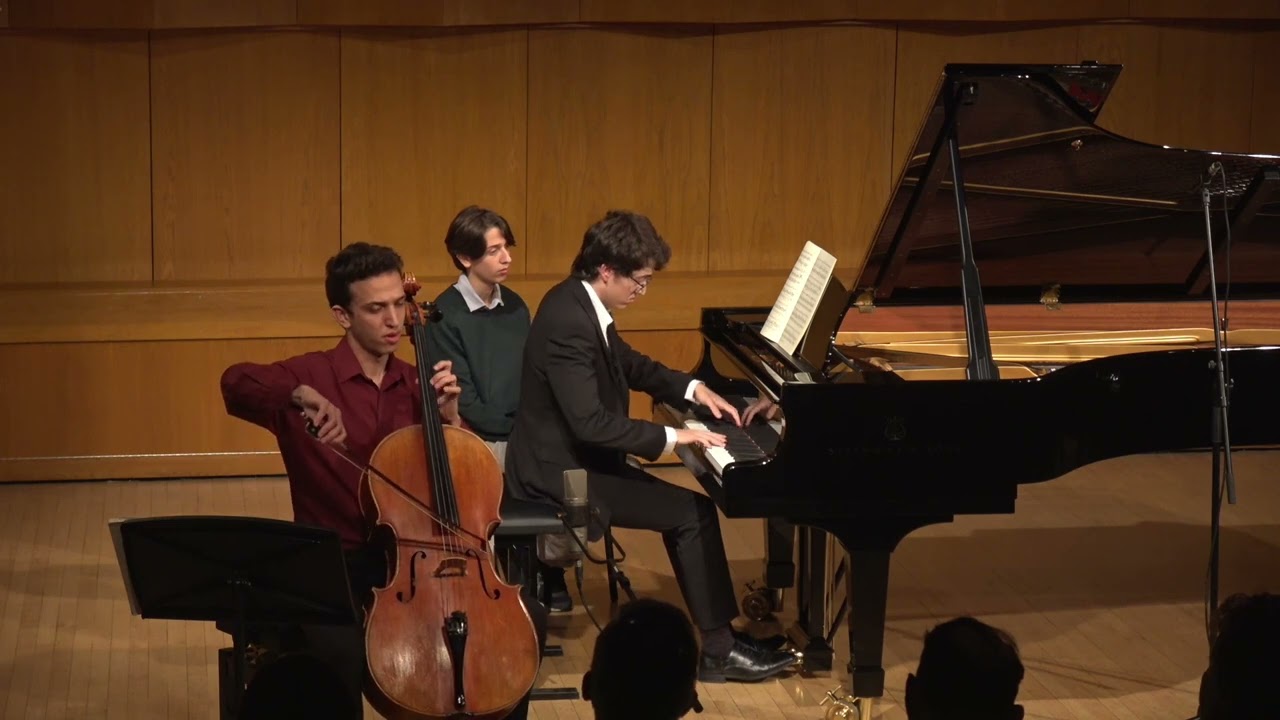 Brahms E minor sonata for Cello and Piano - 1st movement