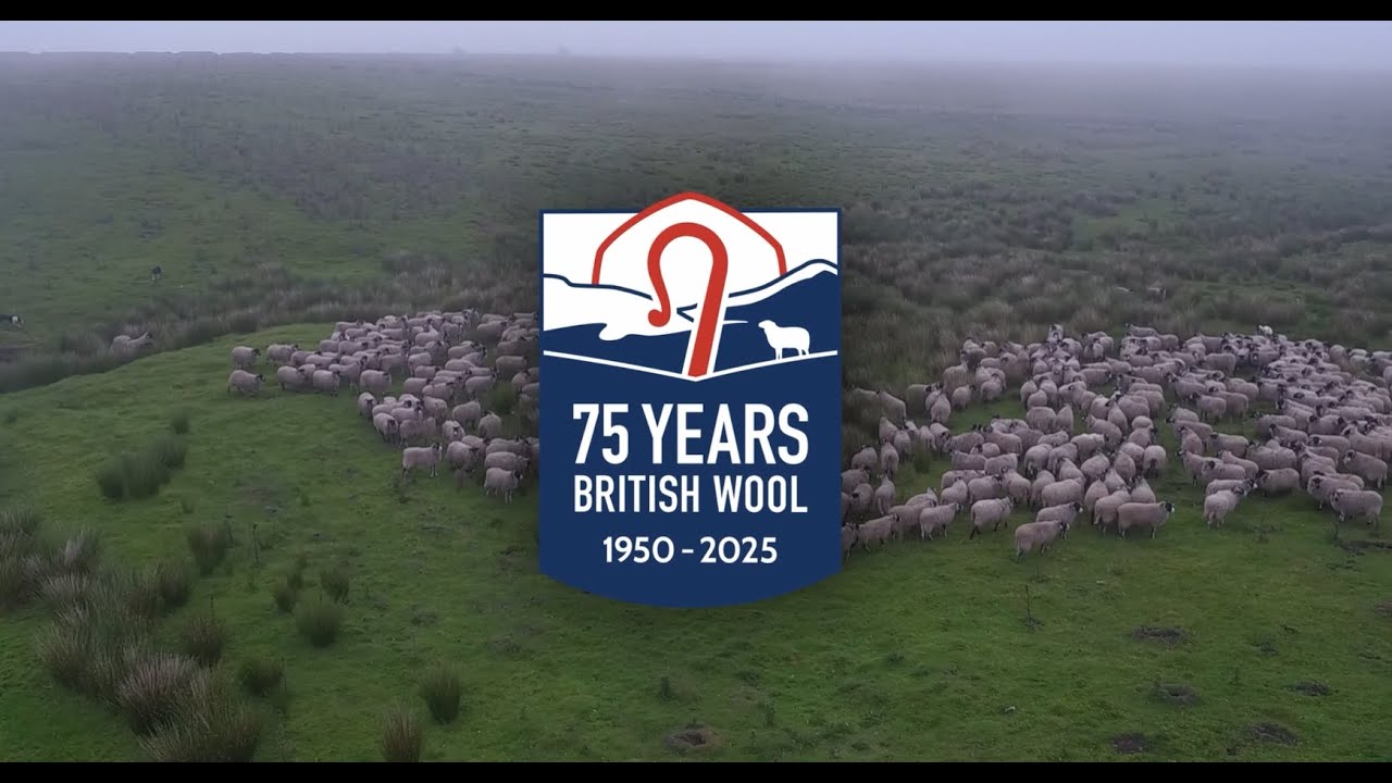British Wool timeline 1950-2025
