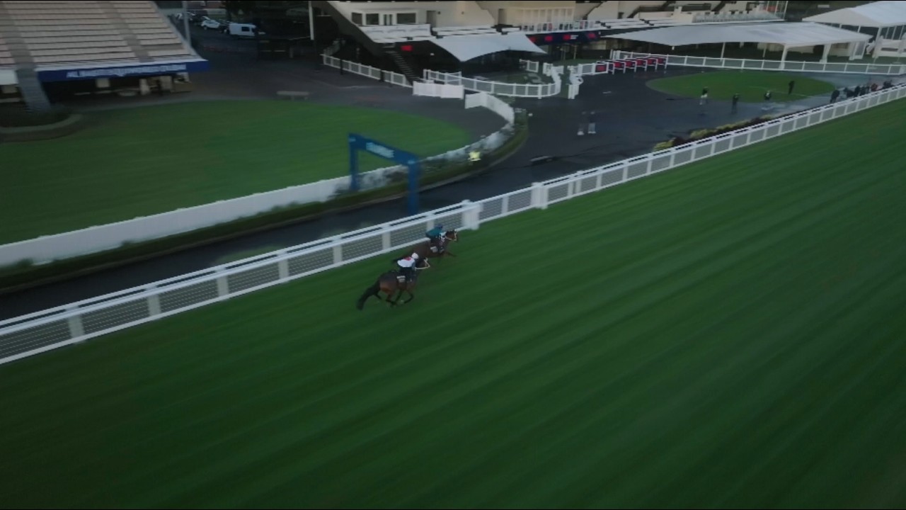 Well Written's Ellerslie trackwork