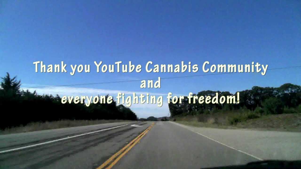 1-year, 2000 subscribers!  Thank you sublbc (growingforfreedom)!