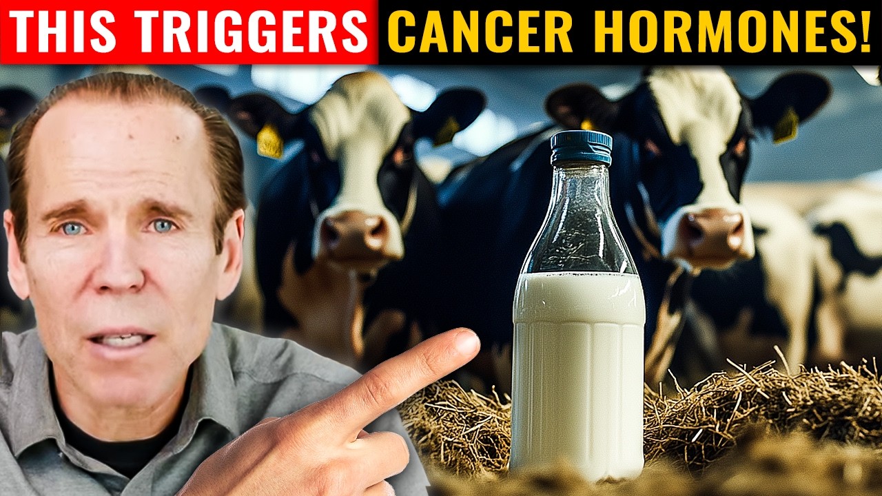 Dairy vs Plant-Based Milks: Which Is Better For You?