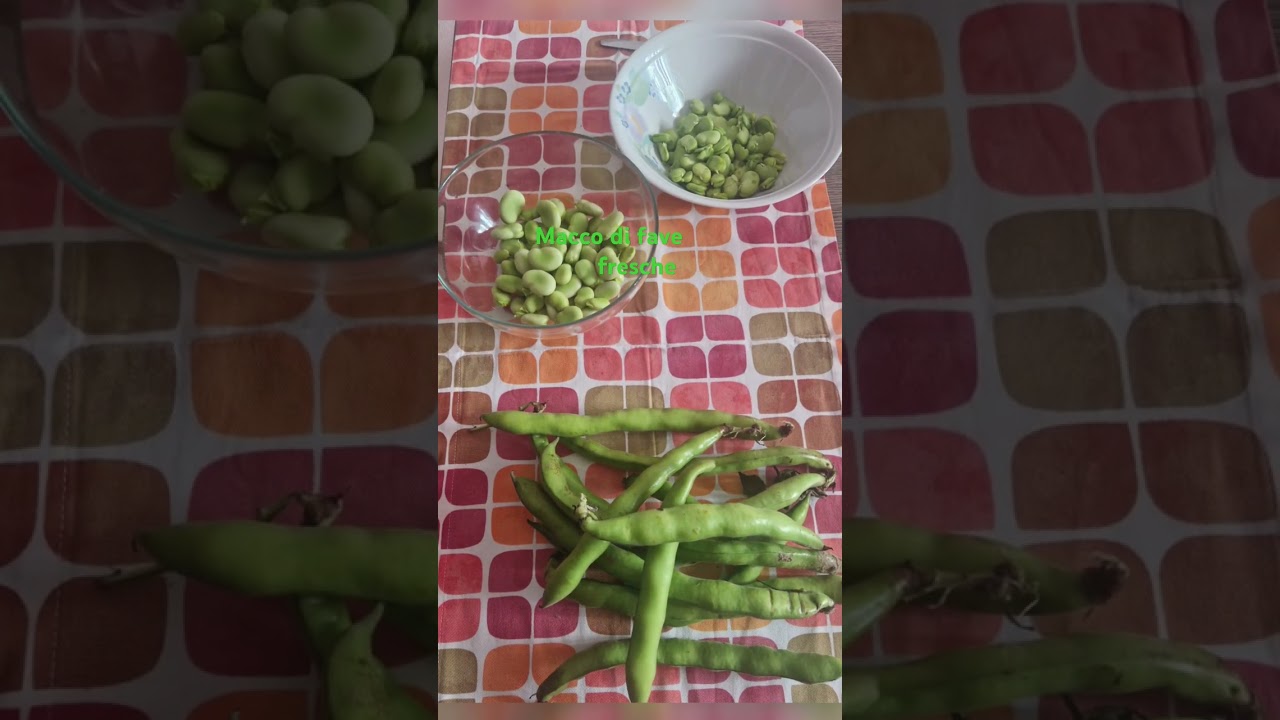 600grfavefrescheCipollottoolio dolivasalepepe Non appena lo scalogno appassisce, aggiungete le fave