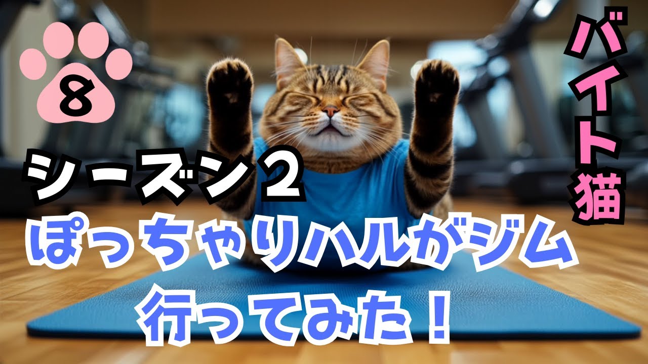 【単発バイト猫のハル】シーズン２ 第８話 ぽっちゃりハルが、ジムに行くって⁉︎｜[Part-Time Cat Haru] S2 Ep8 Chubby Haru.. Going to the Gym!?