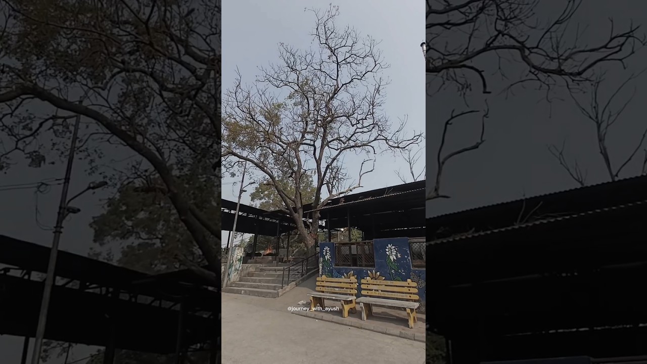 Chakratirth Ujjain Part-01🚩🙏 #ujjain #mahakal #chakratirth #shamshanghat #vlog