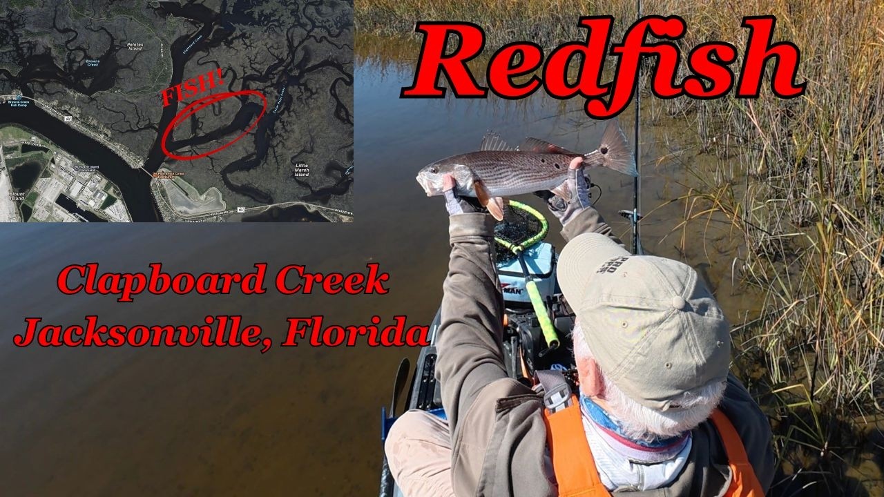 Redfish In Clapboard Creek | Jacksonville, Florida