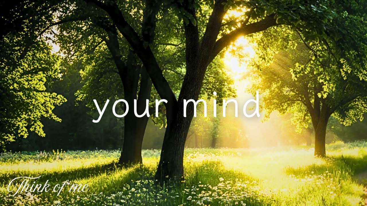 When Your Mind Won't Stop Talking 🌲🍃 Mute It Here | Calm Guitar music for Overthinking Nights