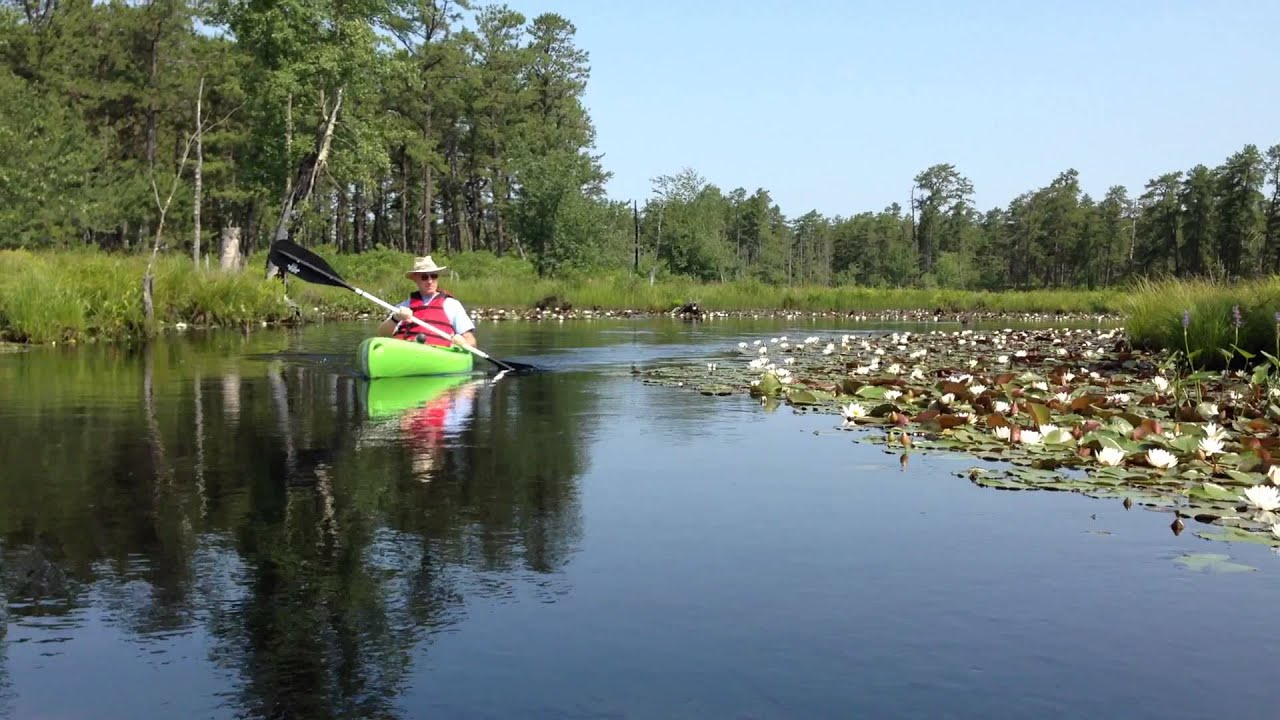 Mullica River Moment