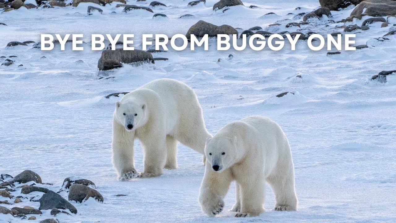 Bye Bye from Buggy One EV | Tundra Connections