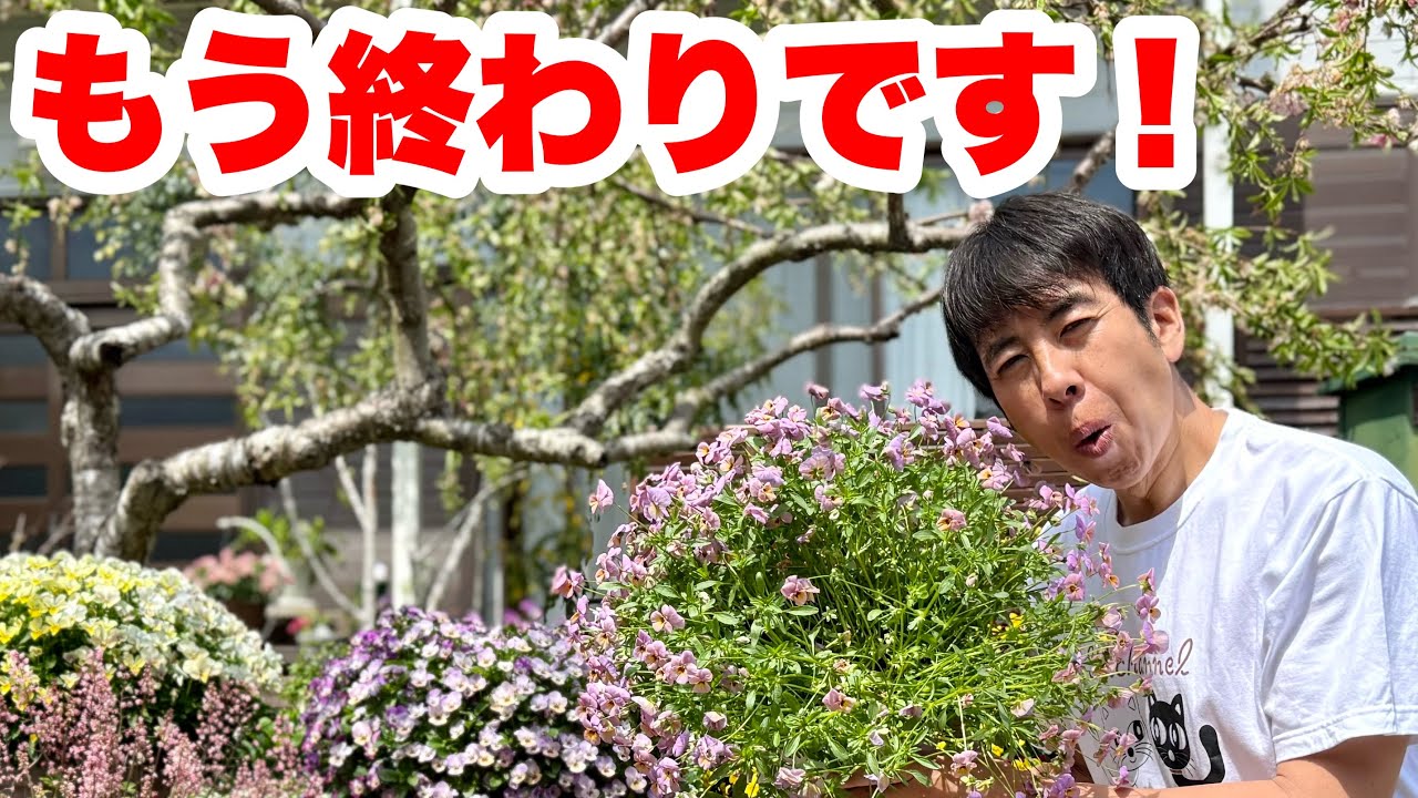 ◆諦めた&hellip;【完全に終わりです】