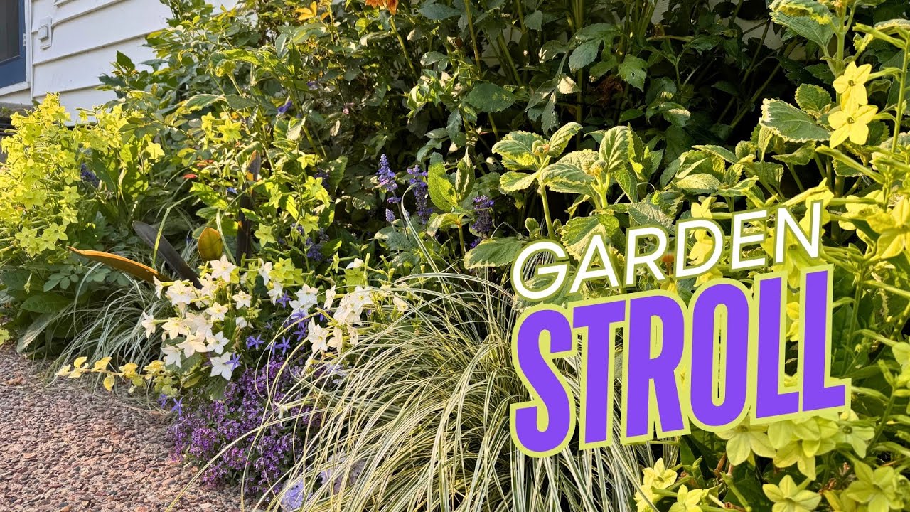 I'm doing things in the garden that you probably shouldn't 🌿 Garden stroll