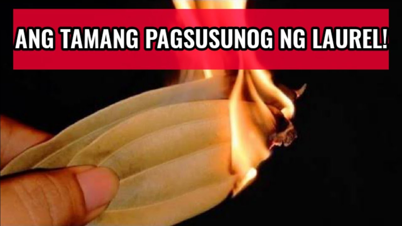 ANG WASTO AT ORIHINAL NA PAGSUSUNOG NG  DAHON NG LAUREL!