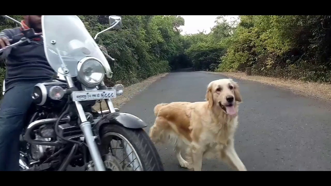 Konkan Diaries - Hairat