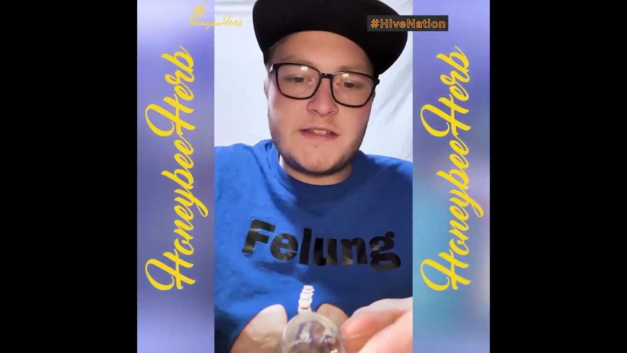 Difference Between Honeybee Herb Black and Yellow Line Quartz Bangers