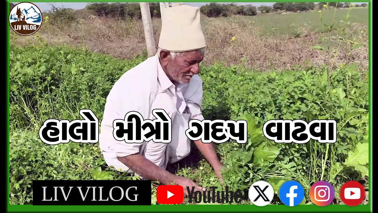 શું તમે થાંભલી કાપતી વખતે સલામતીના નિયમોનું પાલન કરો છો? FARMING Life in a Village is Amazing!