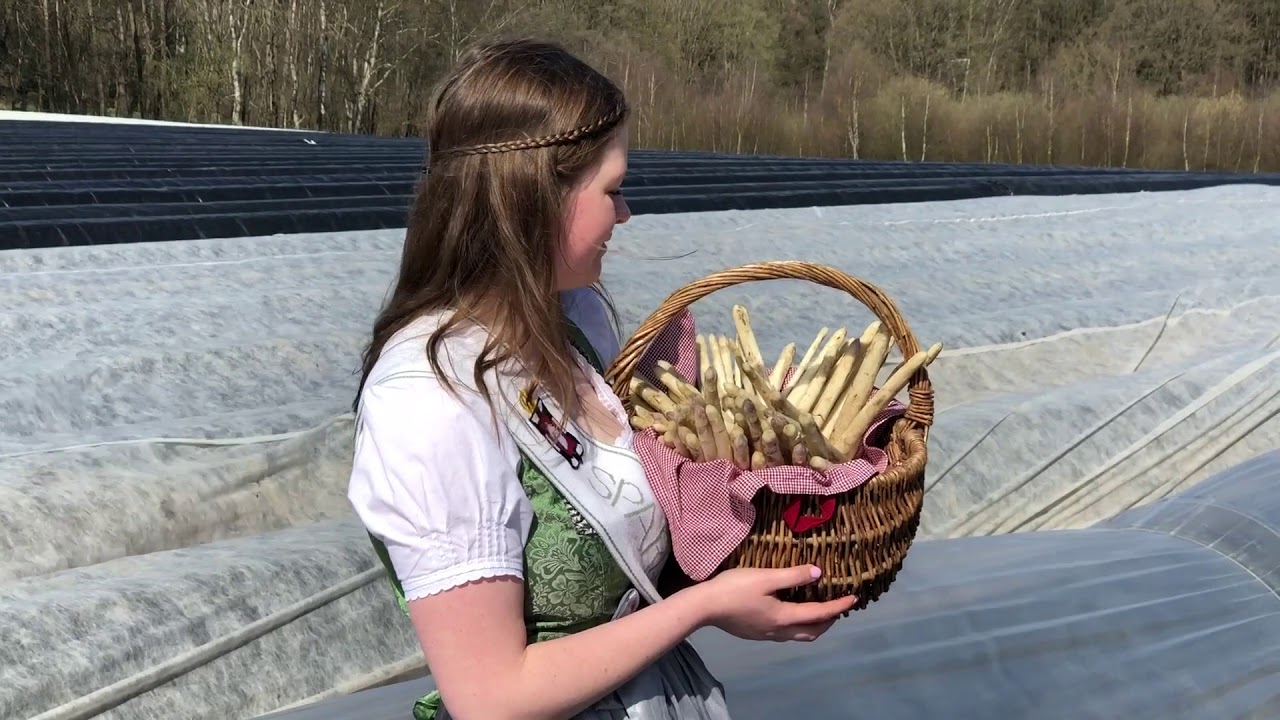 Spargel in Schleswig-Holstein &ndash; Er&ouml;ffnung der Saison 2018