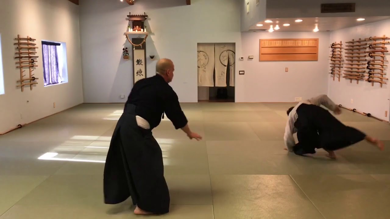 Aikido: Ryote Dori Kokyu Nage