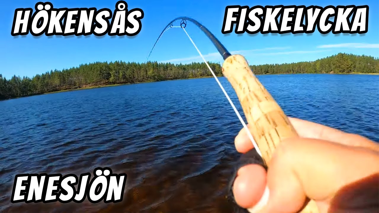 Tillbaka i Enesjön Hökensås | Fiskelycka