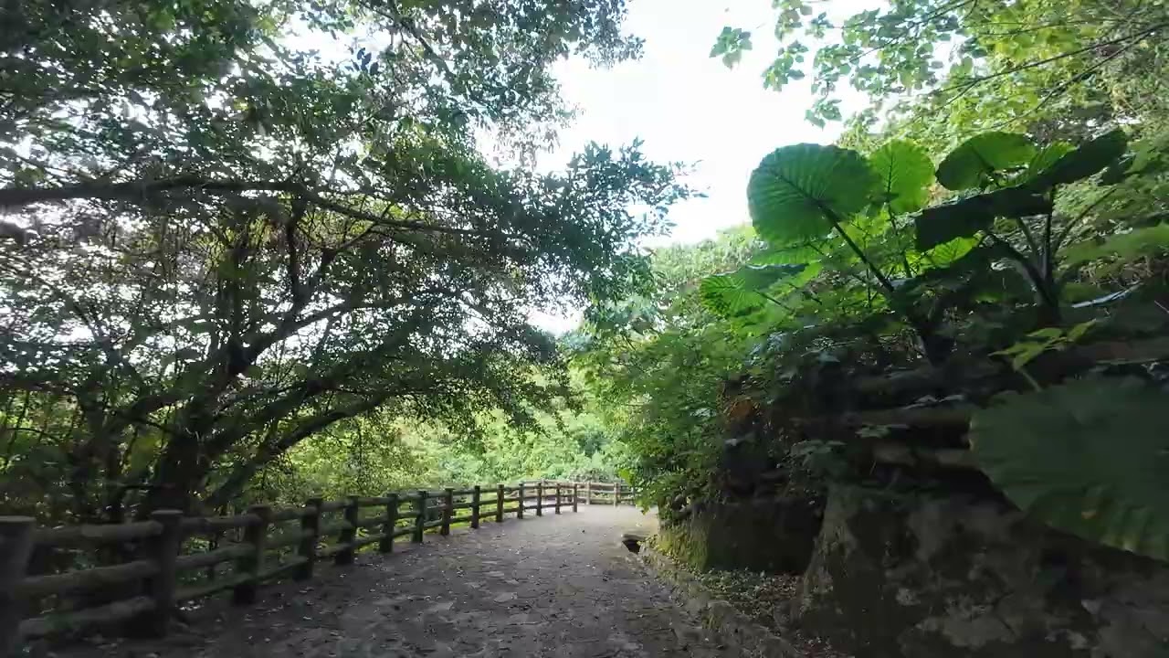 本日の末吉公園 空と森