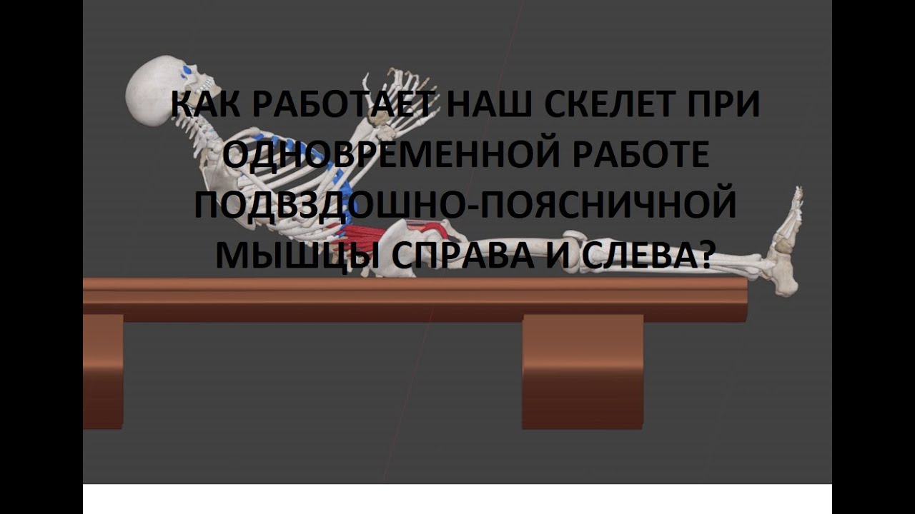 Подвздошно-поясничная мышца. Движения 2 часть