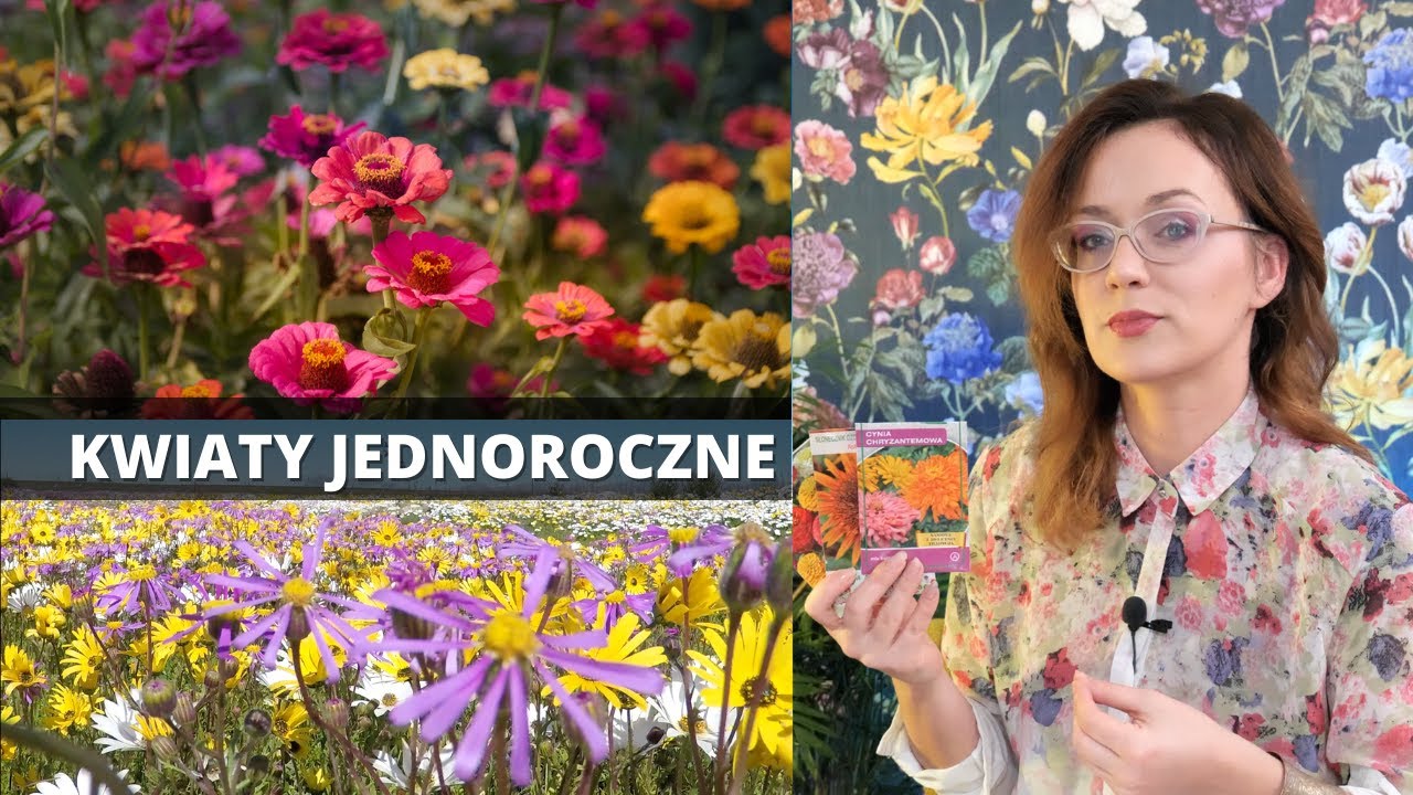 Najpiękniejsze kwiaty jednoroczne do ogrodu, do donic na balkony i tarasy