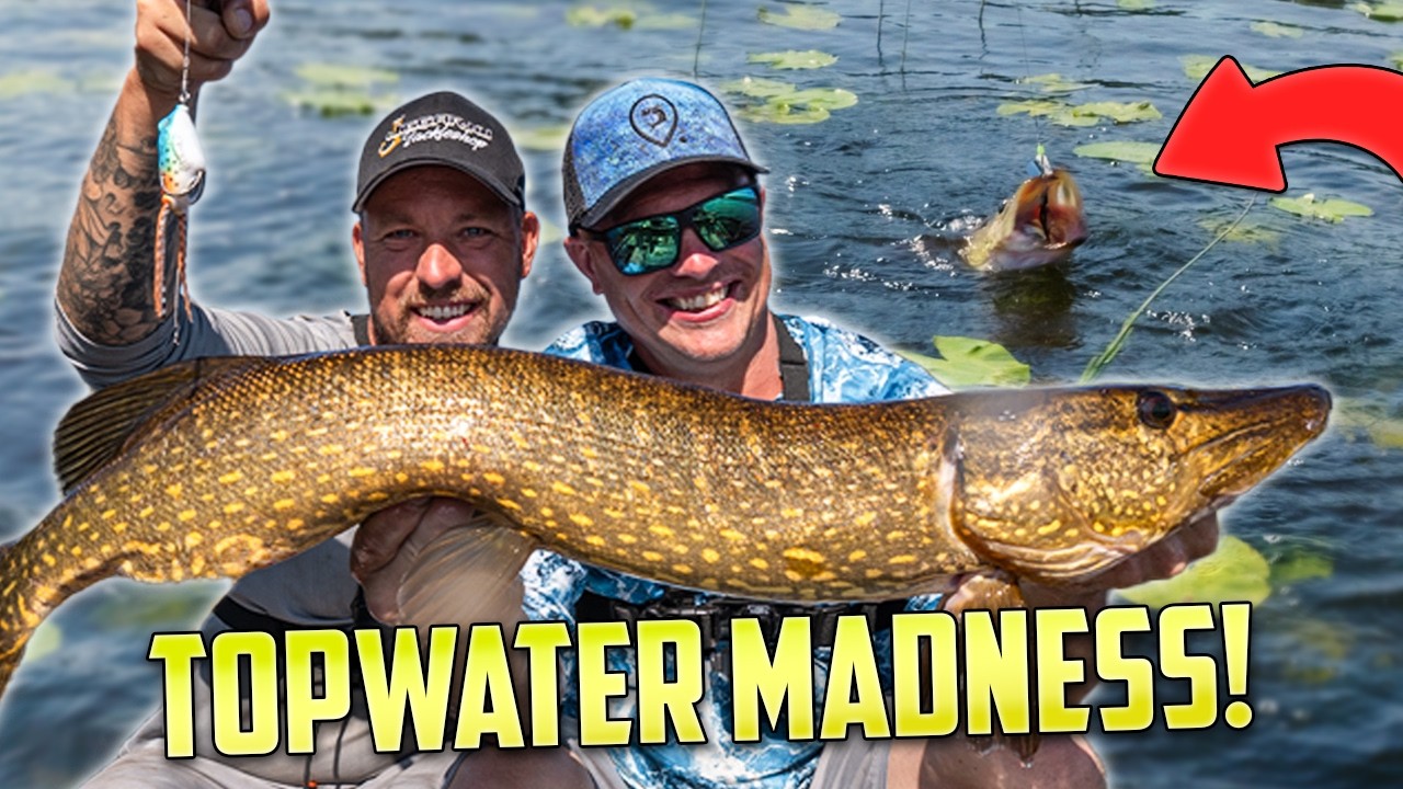 Gäddfiske på Litet Vatten med Takbåt – Topwater Madness i Norrland!