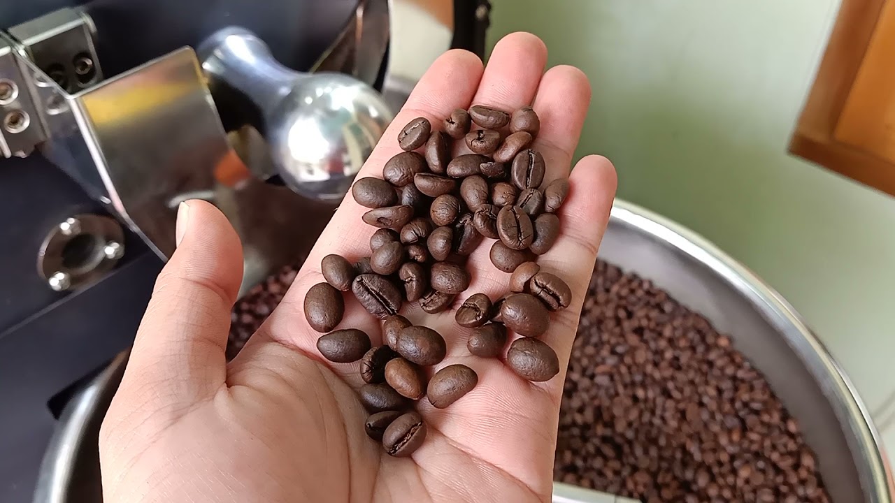 Cara Roasting Kopi Robusta Untuk Blend Espresso