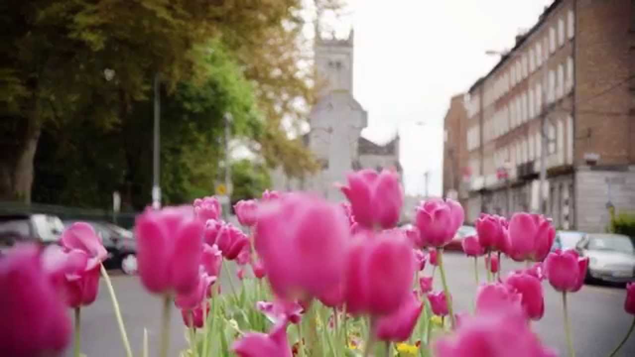 OPEN YOUR EYES to Limerick City of Culture 2014