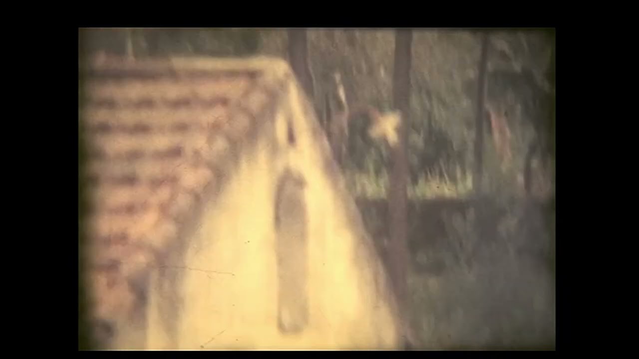 Minas do Braçal (Sever do Vouga) em 1974