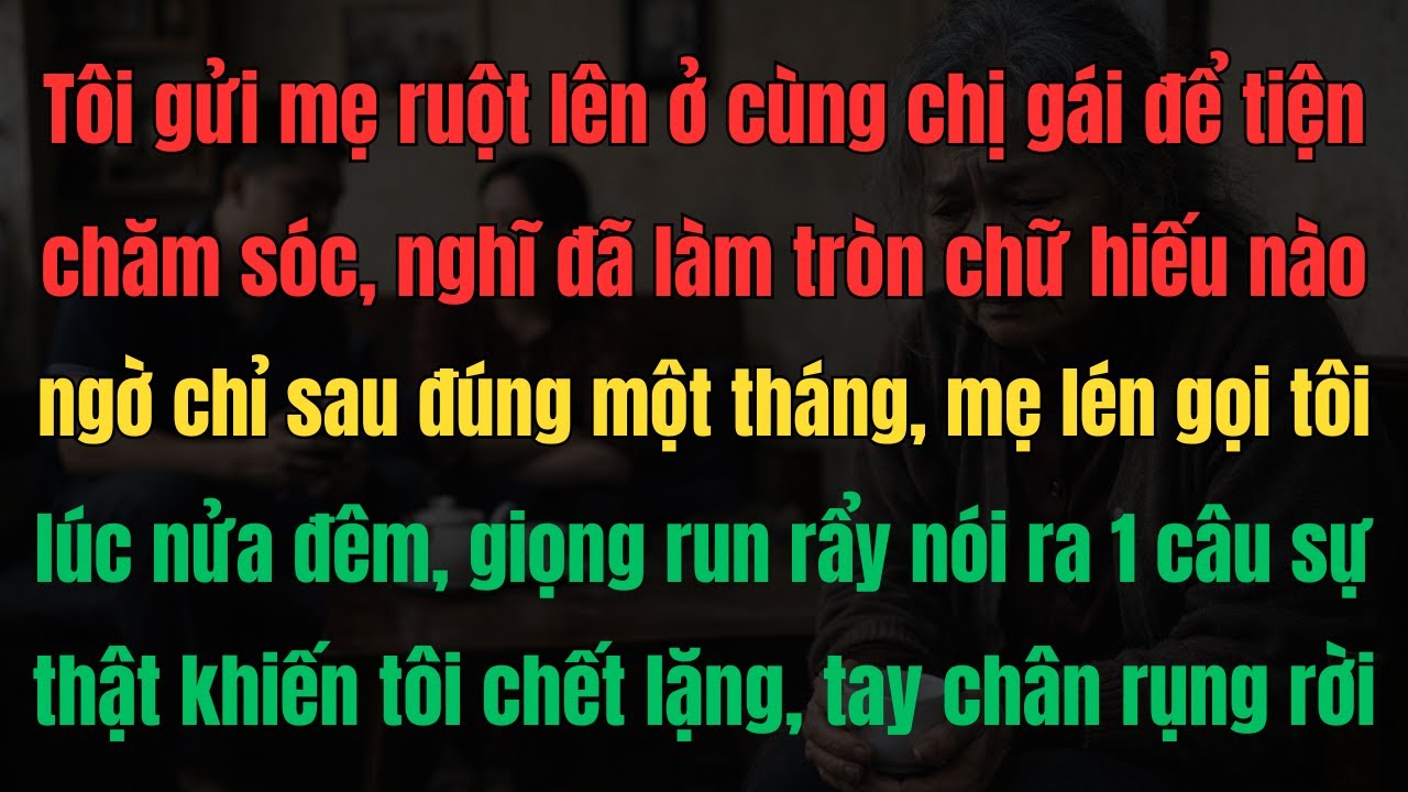 Cuộc Gọi Lúc Nửa Đêm Của Mẹ 70 Tuổi Khiến Con Gái Chết Lặng Vì Sự Thật Phía Sau
