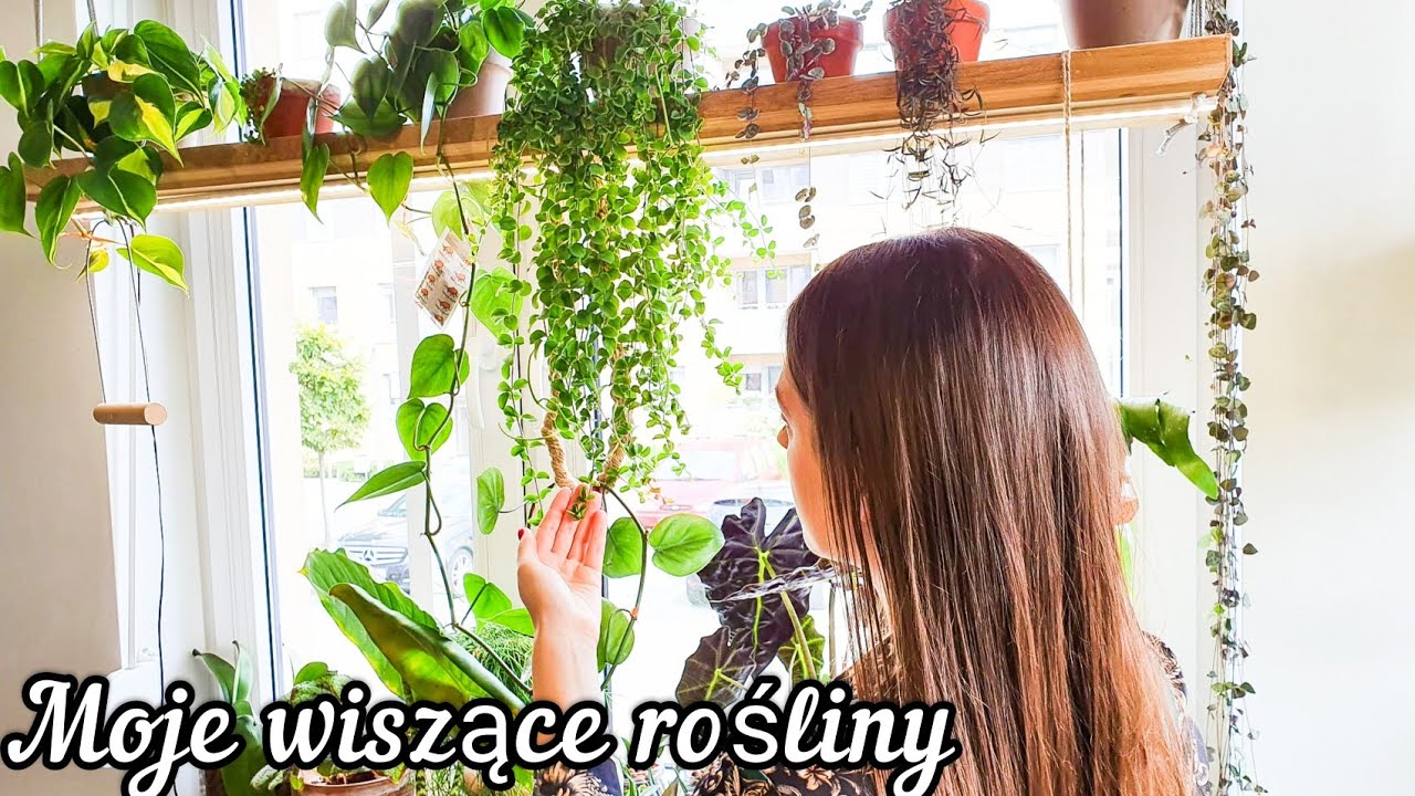 🌱 Co wisi u mnie w salonie? 🌿 | Mini houseplant tour 🌱