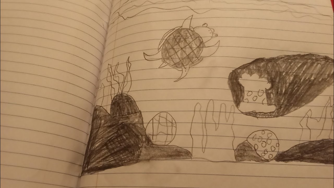 Drawing a sea turtle