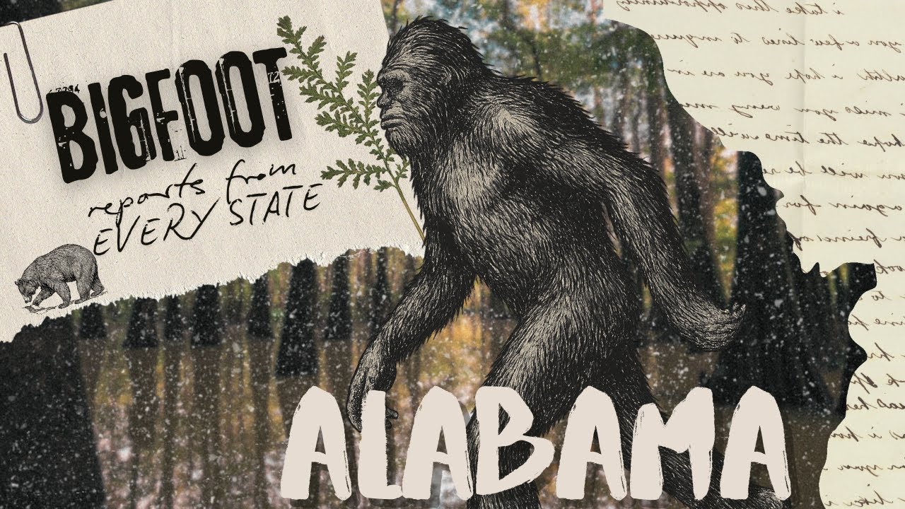 BFRO Bigfoot sightings In Every State: Alabama