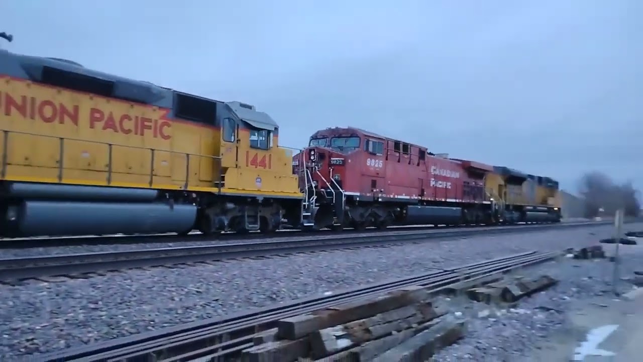 A Rare CP On M-NPPR31!