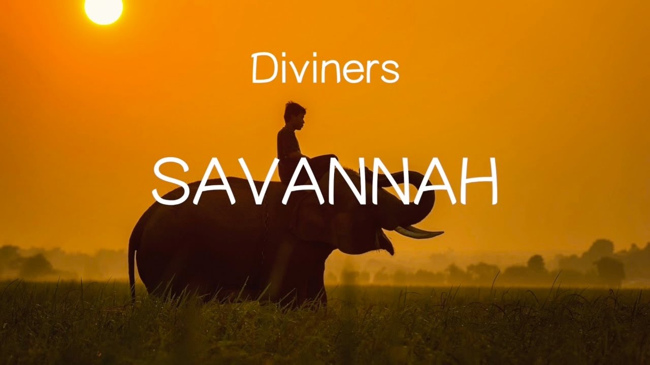 【洋楽和訳】Diviners  ft. Philly K - Savannah