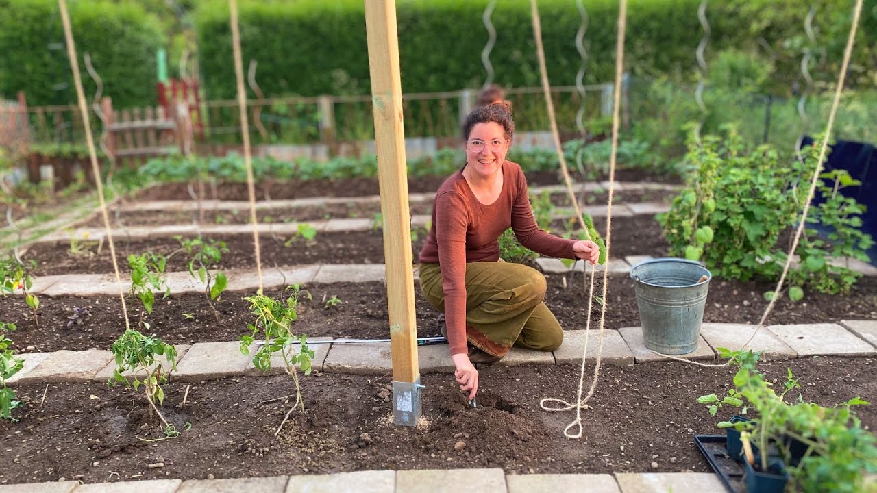 Wie ich meinen Traum Gemüsegarten erschaffe 👩🏼‍🌾😍