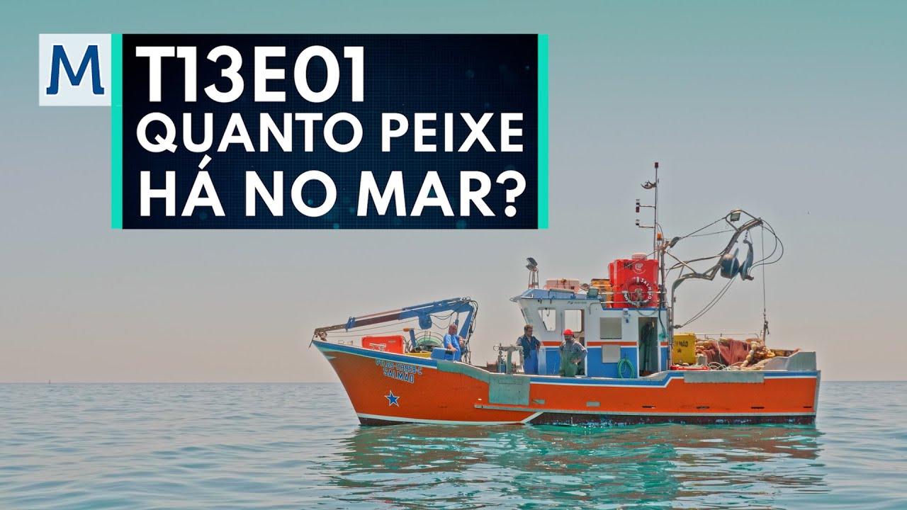Quantos peixes há no mar?                                  #istoematematica