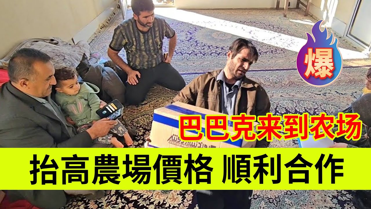 抬高农场价格，顺利合作，巴巴克来到米娜农场。伊朗女人米娜纪录片最新后续