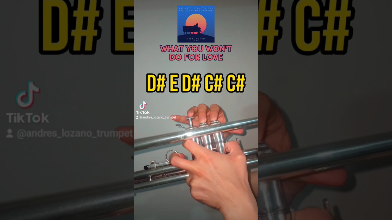 What you won't do for love (trumpet tutorial) (English) #tutorial #music #trumpet #viral #shorts