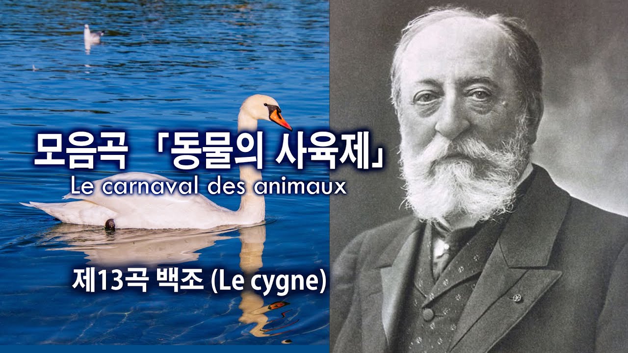 생상스(Saint-Sa&euml;ns) - 제13곡 백조 (모음곡 「동물의 사육제」 중에서) / 13. Le cygne from 