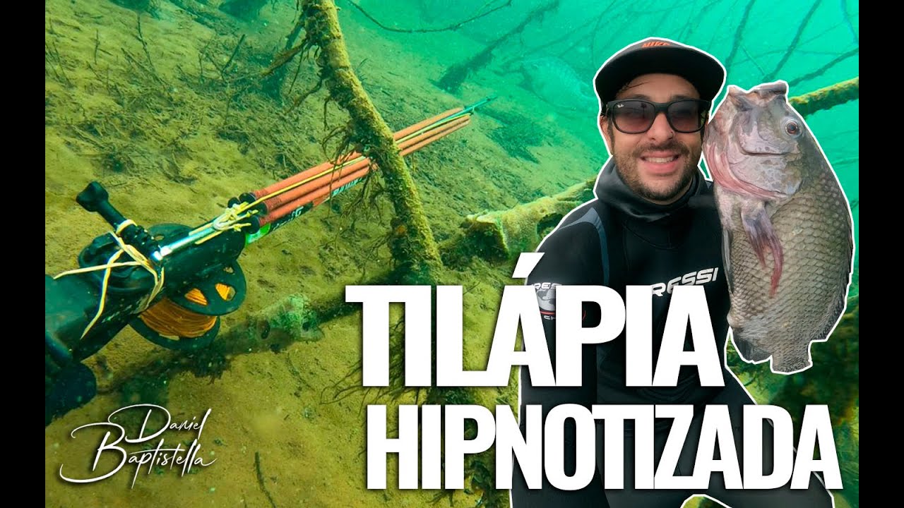 TILAPIA HIPNOTIZADA