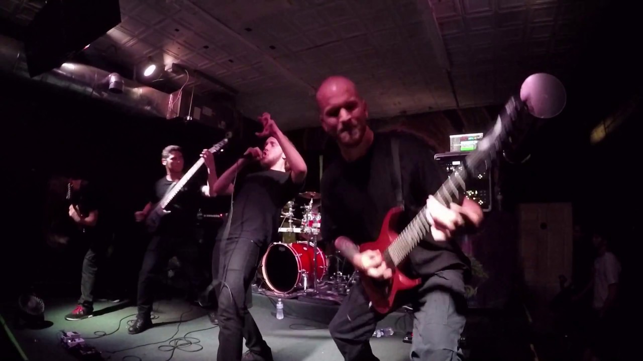VIRVUM - Full Set