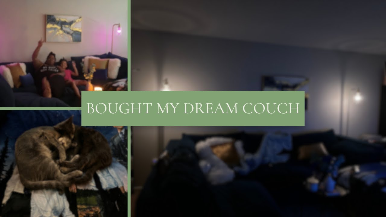 Bought My Dream Couch | Albany Park - Honest Review (3 months)