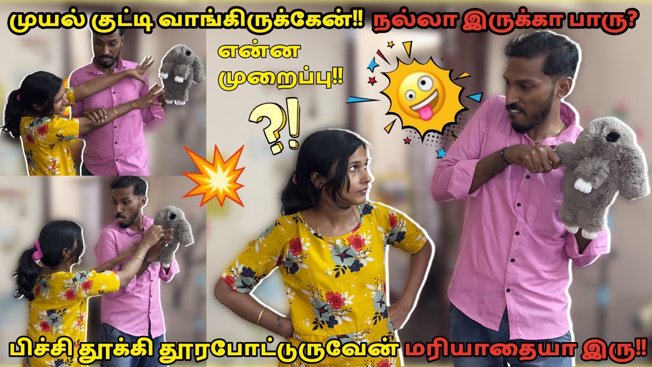 முயல் குட்டி வாங்கிருக்கேன் நல்லா இருக்கா பாரு😱 பிச்சி தூக்கி தூரபோட்டுருவேன்!!🥵 மரியாதையா இரு!!😡