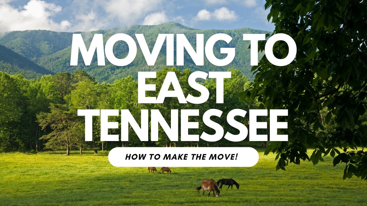 How To Move To Tennessee | Showings | Fun Family Ideas | #easttennessee #realestate
